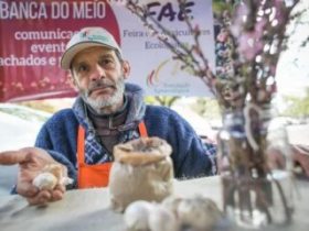 DESTAQUE  EM FARROUPILHA - Conselho de Agricultura indica Pedro Lovatto para o t�tulo de Agricultor Destaque 2023