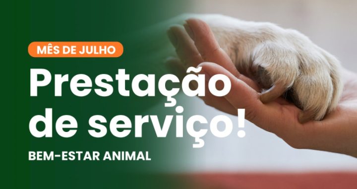 Prefeitura de Garibaldi continua atenta na presta��o de servi�os em prol da Causa Animal 